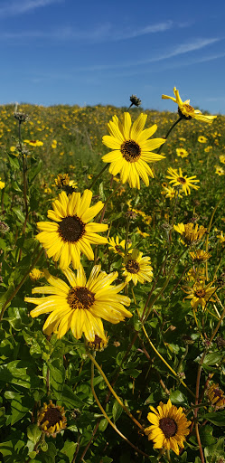 Nature Preserve «Newport Bay Conservancy», reviews and photos, 2301 University Dr, Newport Beach, CA 92660, USA