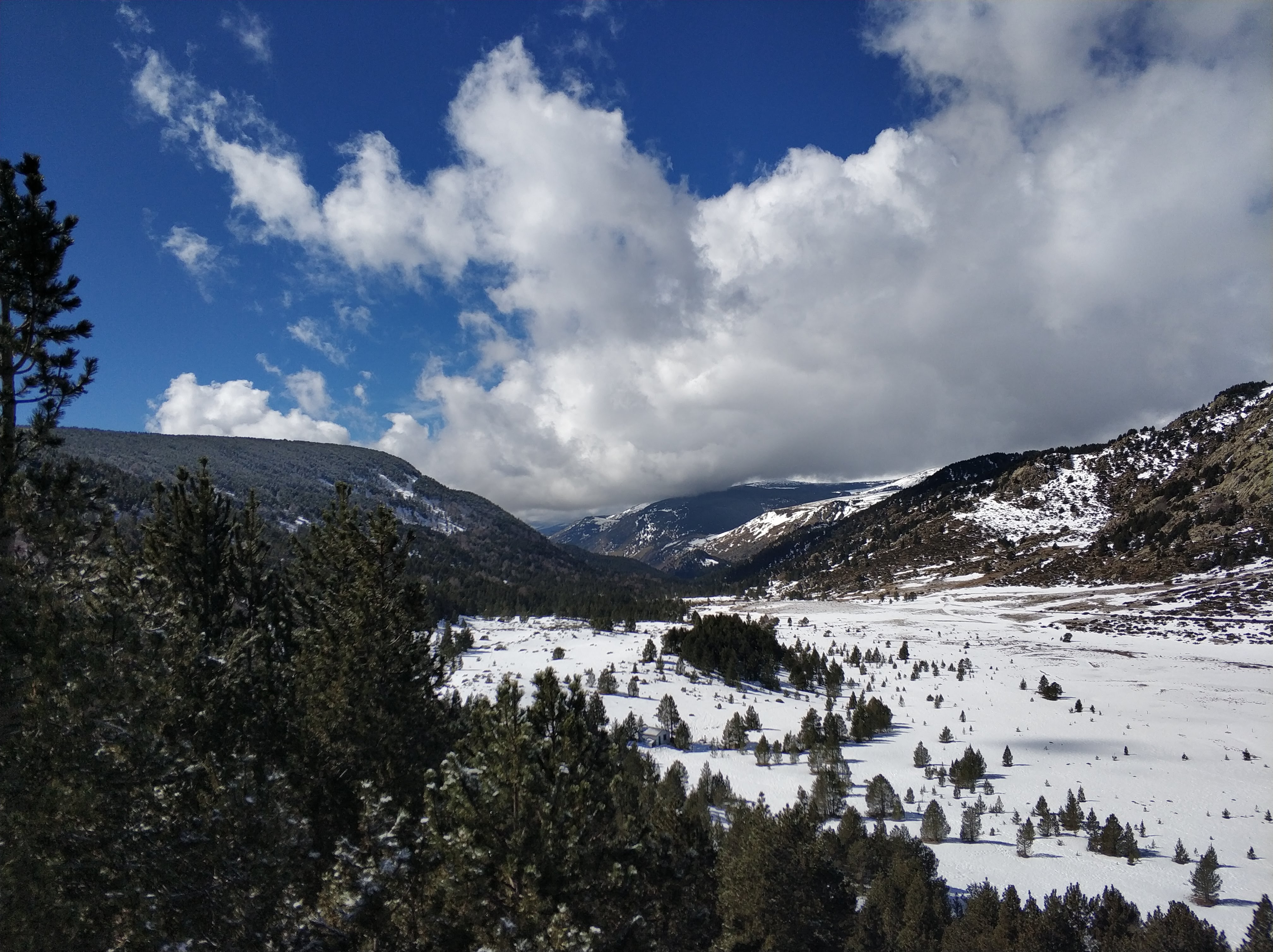 Photo n° 41 de l'avis de Carlos.n fait le 08/03/2019 à 20:38