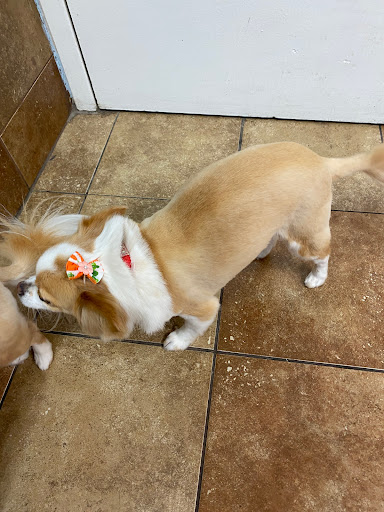 Pet Supply Store «PetSmart», reviews and photos, 1800 Evans Rd, Melbourne, FL 32904, USA