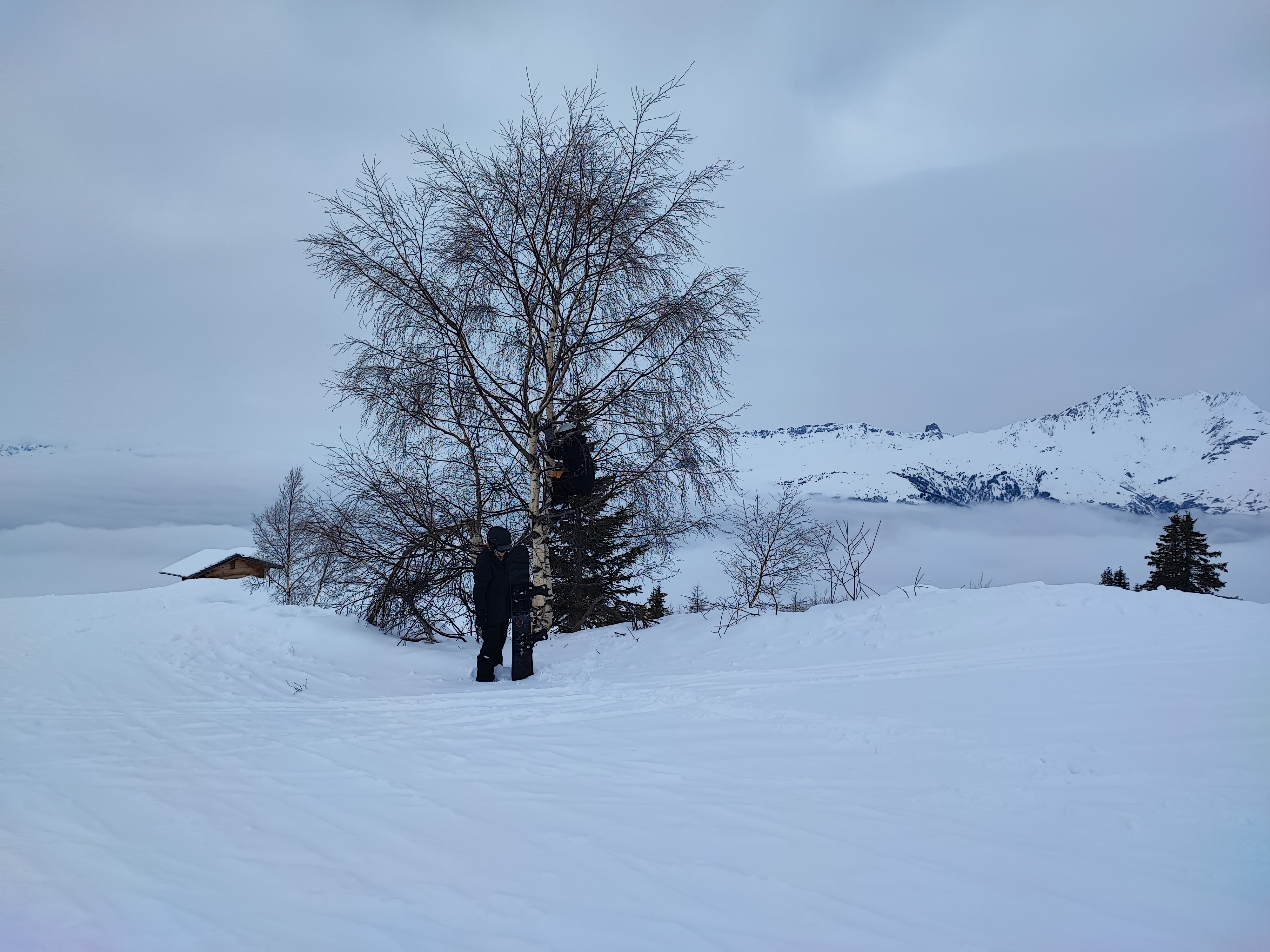 Photo n° 8 de l'avis de Jan.u fait le 10/03/2024 à 10:21