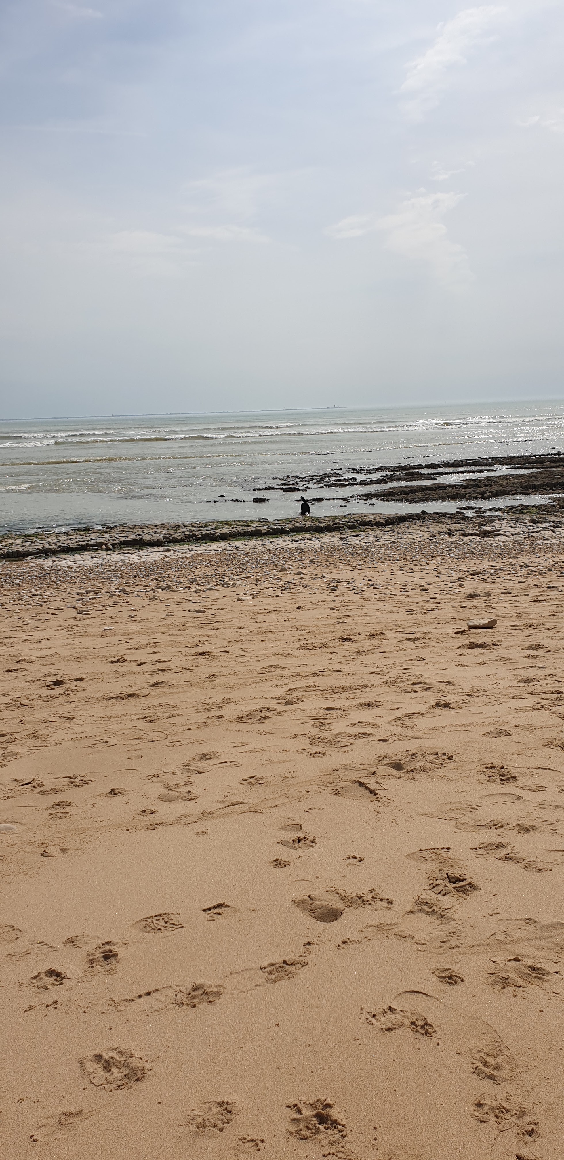 Photo n° 1 de l'avis de laurence.E fait le 21/04/2019 à 17:26