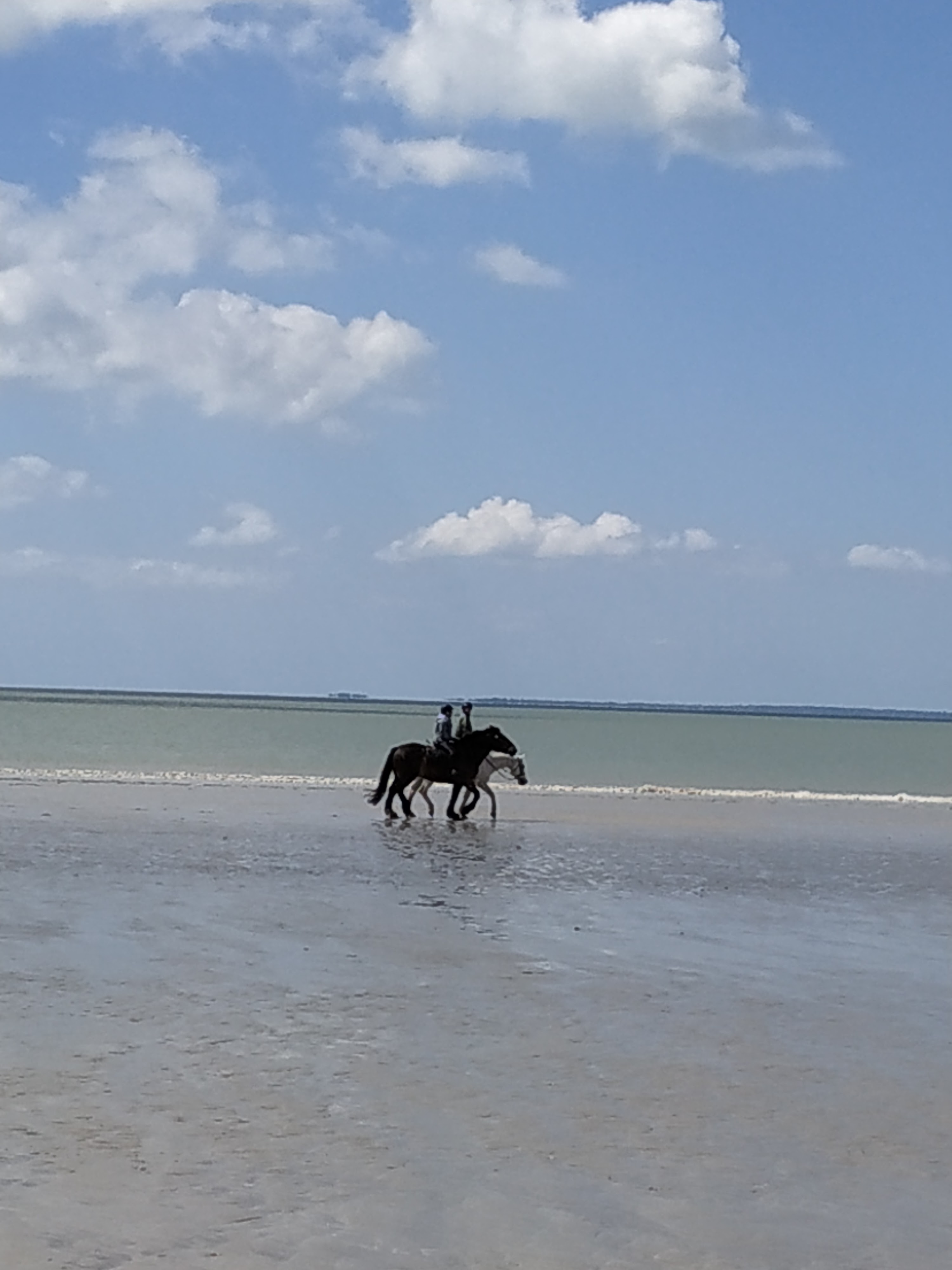 Photo n° 8 de l'avis de Stef. fait le 05/05/2019 à 12:59