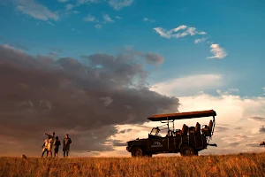 Ultimate Safaris image