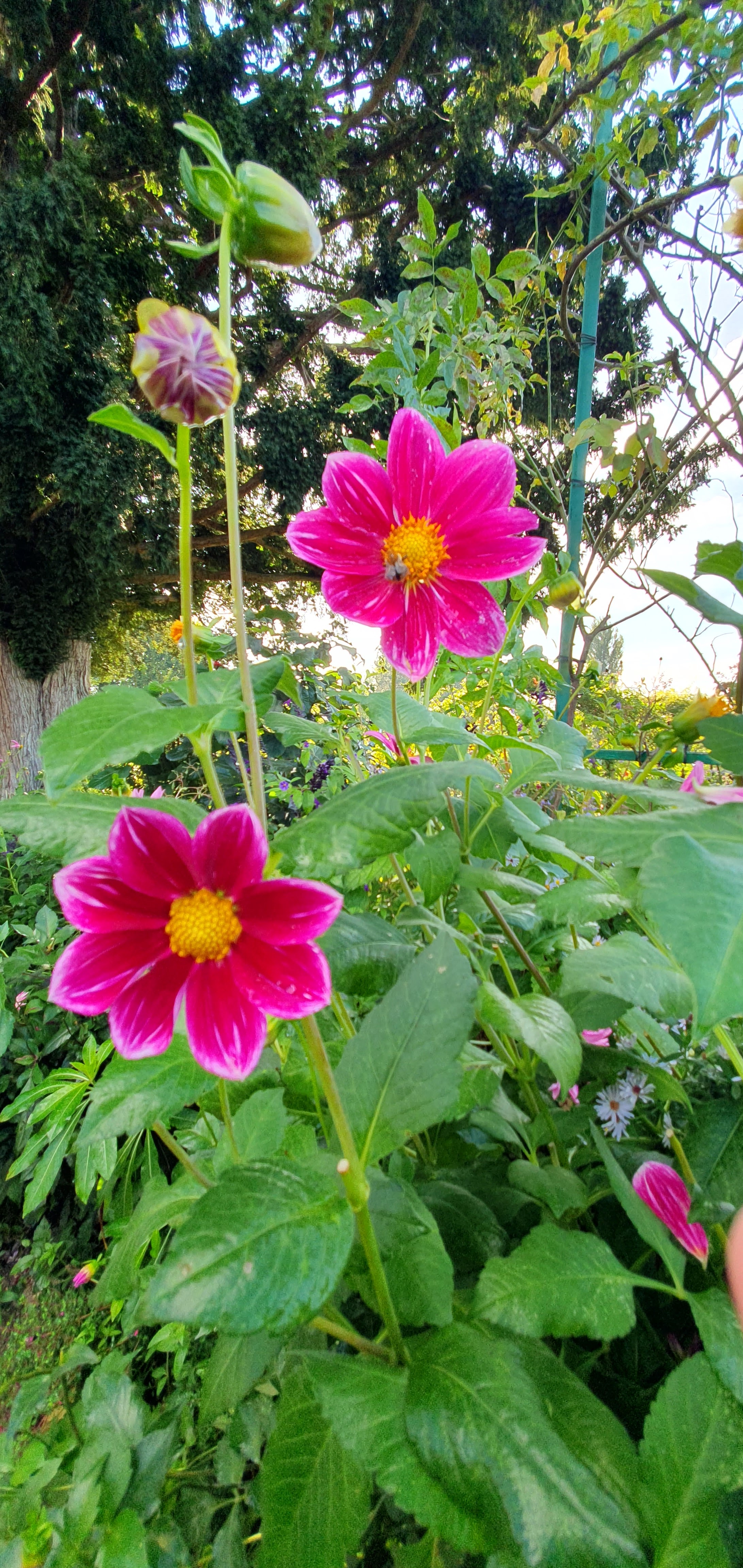 Photo n° 4 de l'avis de Jean-Claude.O fait le 17/10/2023 à 20:07