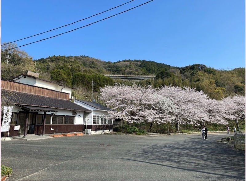 さとり書糸島ギャラリー 智慧の森