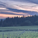 Photo n°16 de l'avis de Marisa.a fait le 14/05/2024 à 06:03 sur le  Enoteca Il Quartino di Marchesi Frescobaldi à Pelago