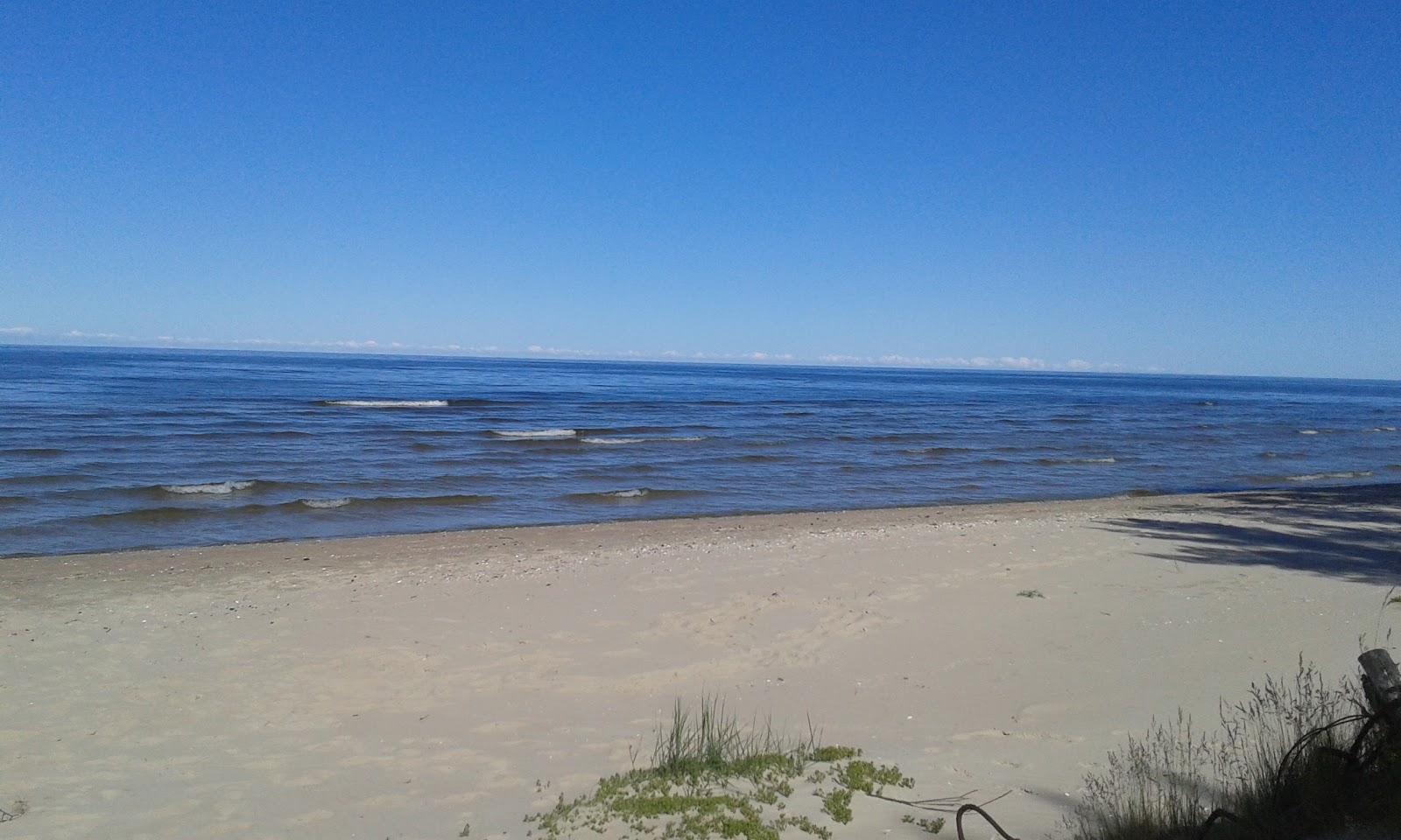 Foto av Balta kapa beach vildmarksområde