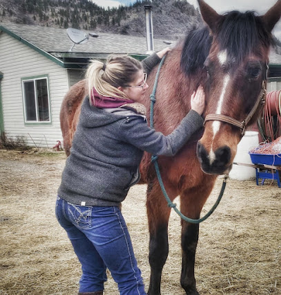 Heart In Hand Equine Therapy