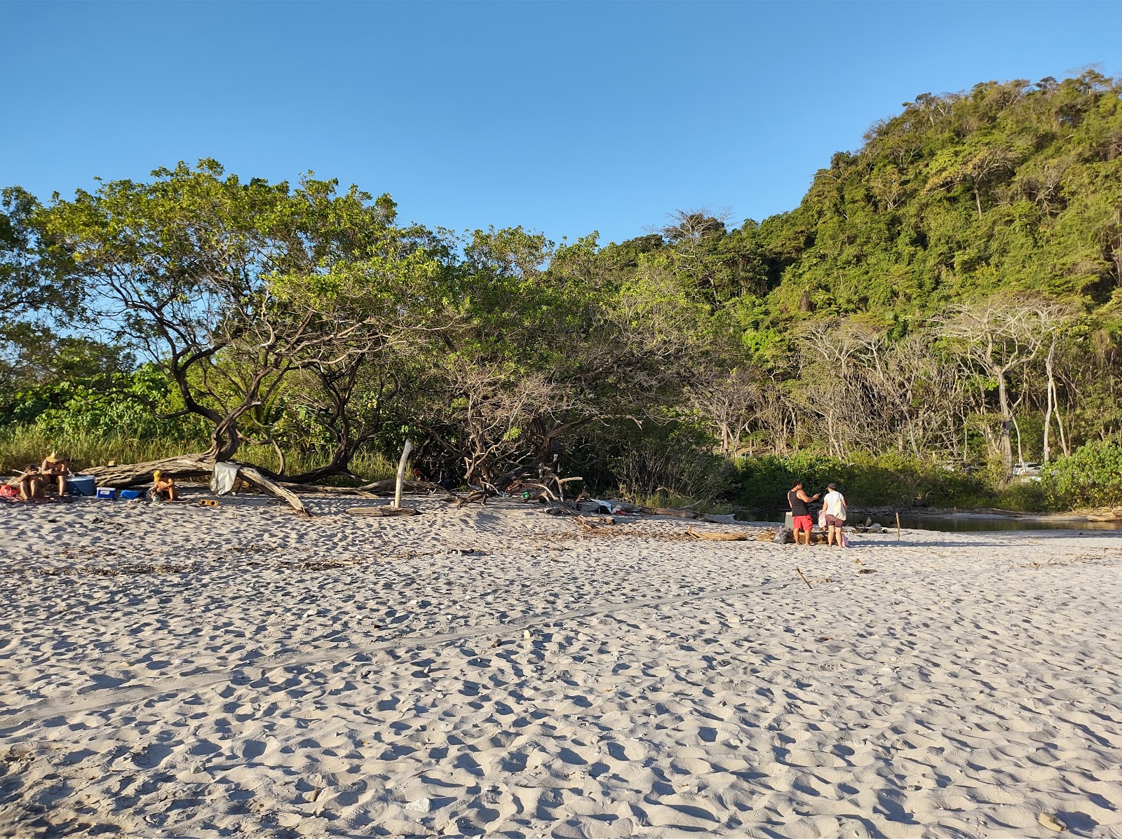 Playa Barrigona的照片 位于自然区域