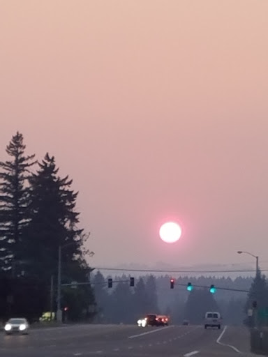 Pet Supply Store «Sandy Animal Supply», reviews and photos, 36645 US-26, Sandy, OR 97055, USA