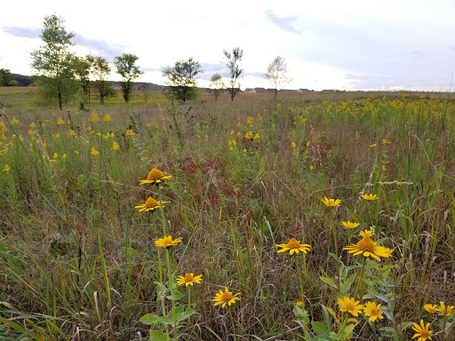 Nature Preserve «St. Croix Savanna Scientific and Natural Area (SNA)», reviews and photos, Osprey Blvd, Bayport, MN 55003, USA