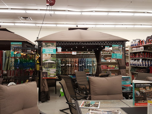 Discount Store «Big Lots», reviews and photos, 8950 MN-7, Minneapolis, MN 55426, USA