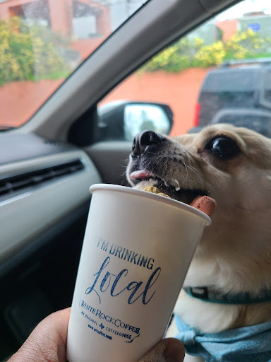 Coffee Shop «White Rock Coffee», reviews and photos, 10105 Northwest Hwy, Dallas, TX 75238, USA