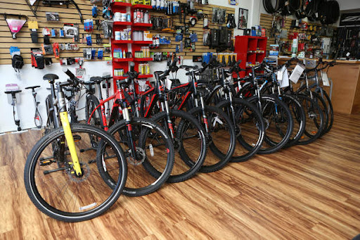 Bicycle Store «BikeSport», reviews and photos, 3970 Tampa Rd, Oldsmar, FL 34677, USA