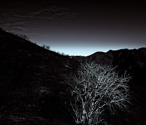 Nature Preserve «UC Davis - Stebbins Cold Canyon Natural Reserve», reviews and photos, CA-128, Winters, CA 95694, USA