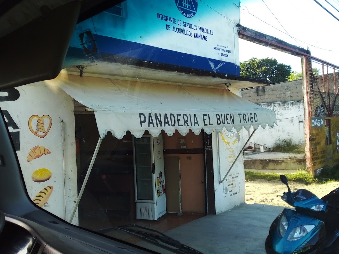 PANADERIA EL BUEN TRIGO