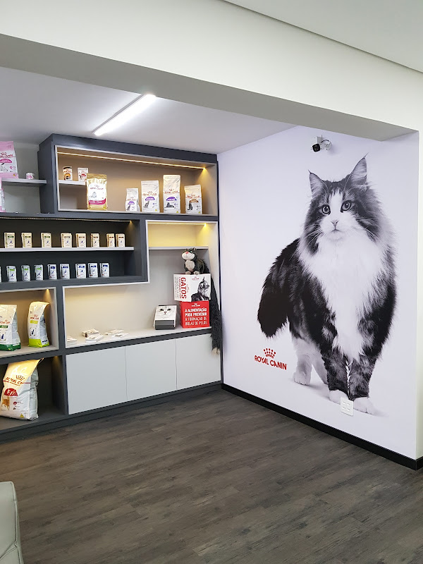 Hospital 4cats — Hospital para animais em São Paulo, SP