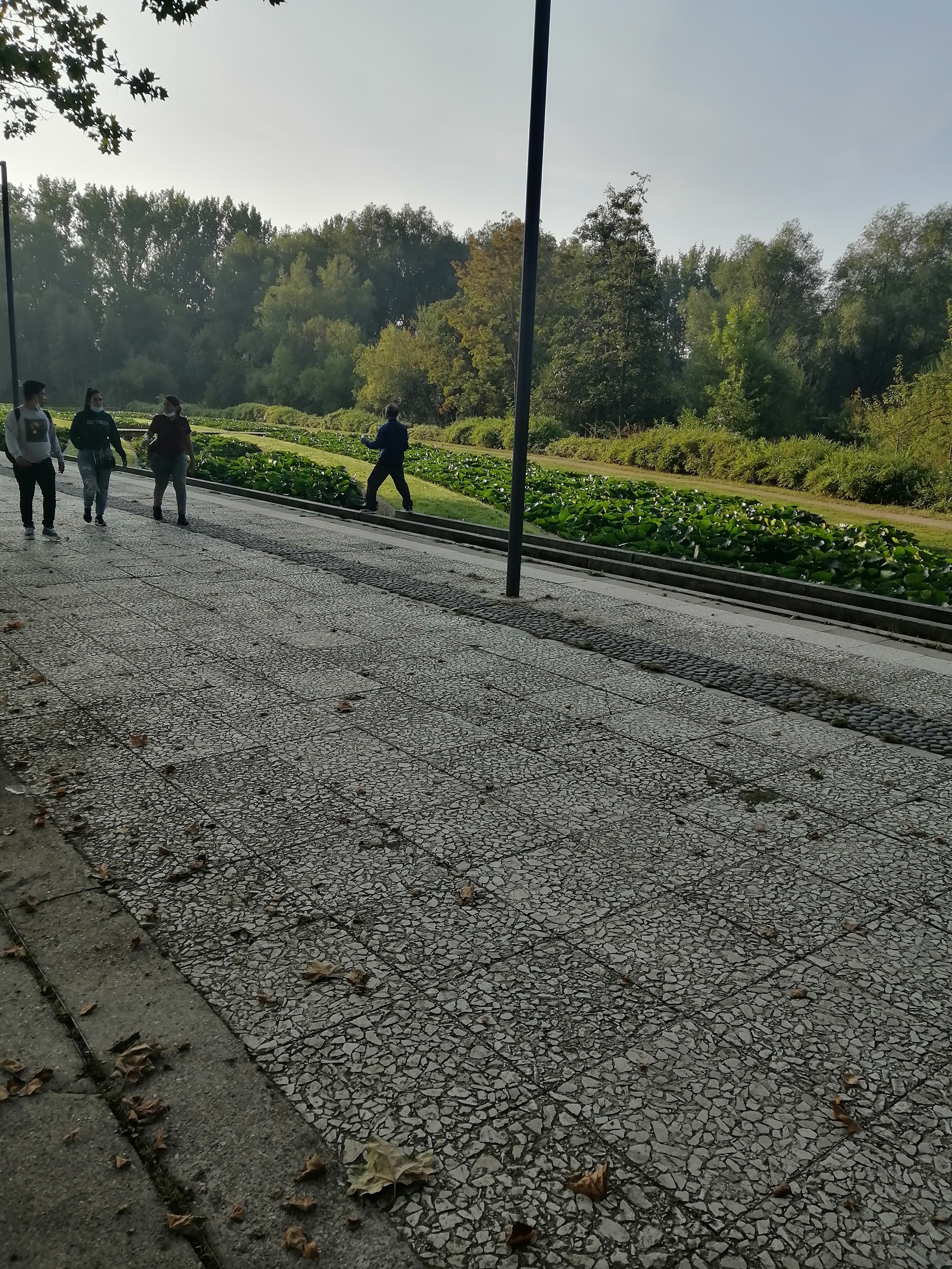 Photo n° 1 de l'avis de Souad.h fait le 18/10/2021 à 10:40
