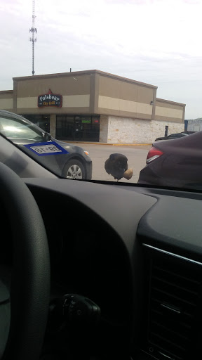 Home Goods Store «Dollar General», reviews and photos, 29619 Fm 1093 Road, Fulshear, TX 77441, USA