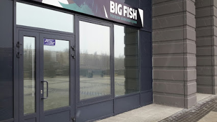 Delivery Service Big Fish - ул.Балтийская, 1 пр.Алексея Афанасьева, 1, ул.Береговая, 2, Petrozavodsk, Republic of Karelia, Russia, 185011