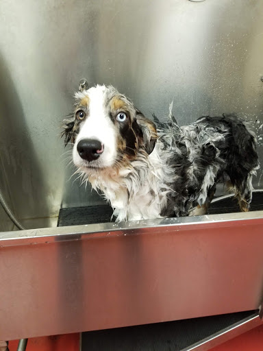 Pet Store «Feeders Supply», reviews and photos, 187 Adam Shepherd Pkwy # 2, Shepherdsville, KY 40165, USA