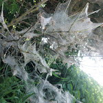 Photo n°2 de l'avis de Anton.v fait le 30/05/2023 à 18:09 sur le  Serways Raststätte Köschinger Forst Ost à Hepberg