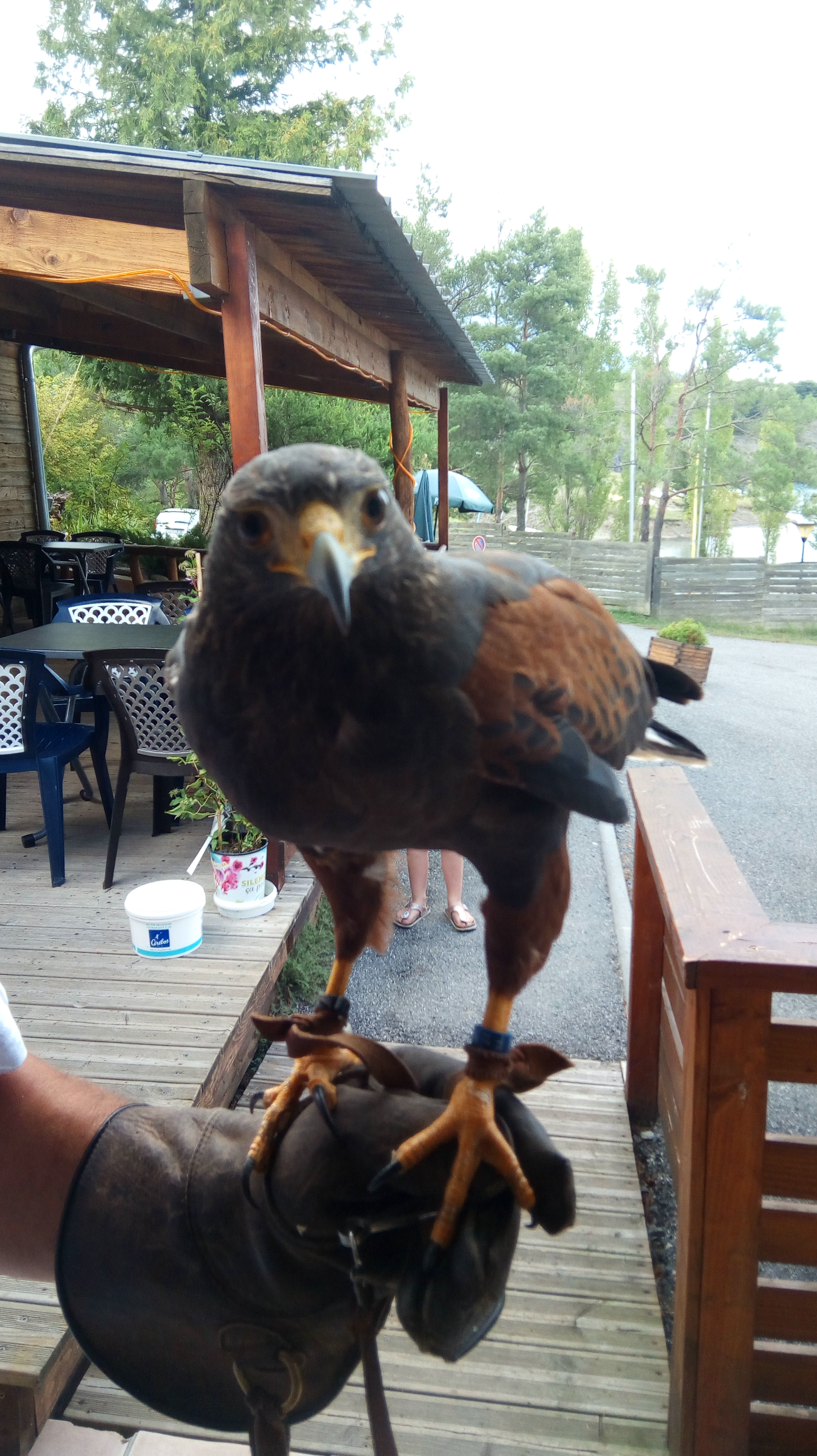 Photo n° 8 de l'avis de Pierre.c fait le 30/08/2018 à 07:16