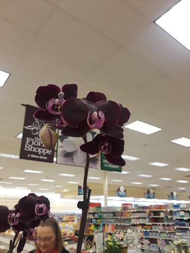 Grocery Store «Winn-Dixie», reviews and photos, 1952 W Dallas Ave, Selma, AL 36701, USA