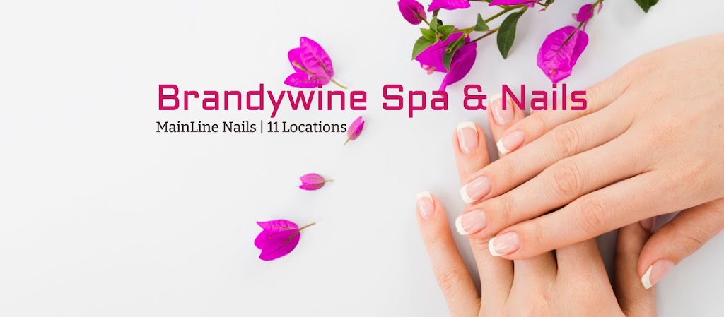 Brandywine Spa & Nails 19342