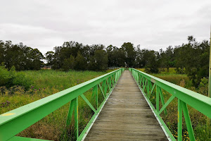 Elouera Bushland Reserve