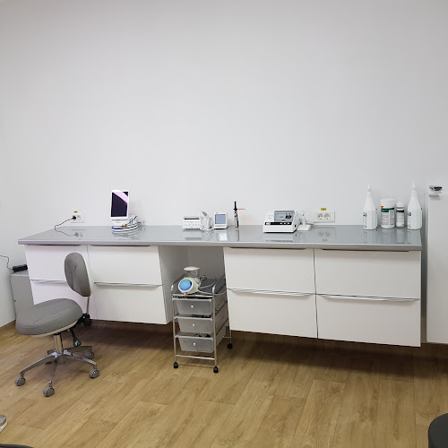 evodental-clinic.business.site