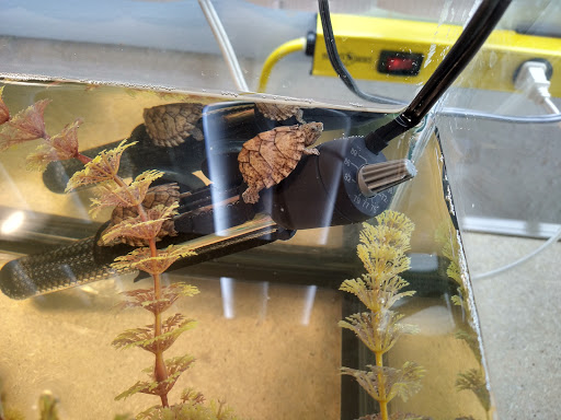 Pet Supply Store «Pets For You», reviews and photos, 413 N Main St, Rice Lake, WI 54868, USA