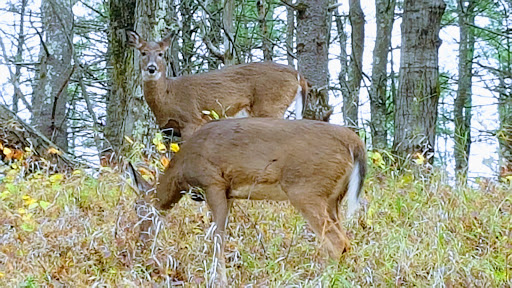 Historical Place «Saratoga National Historical Park», reviews and photos, 648 NY-32, Stillwater, NY 12170, USA