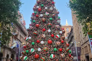 Sydney Christmas Tree image
