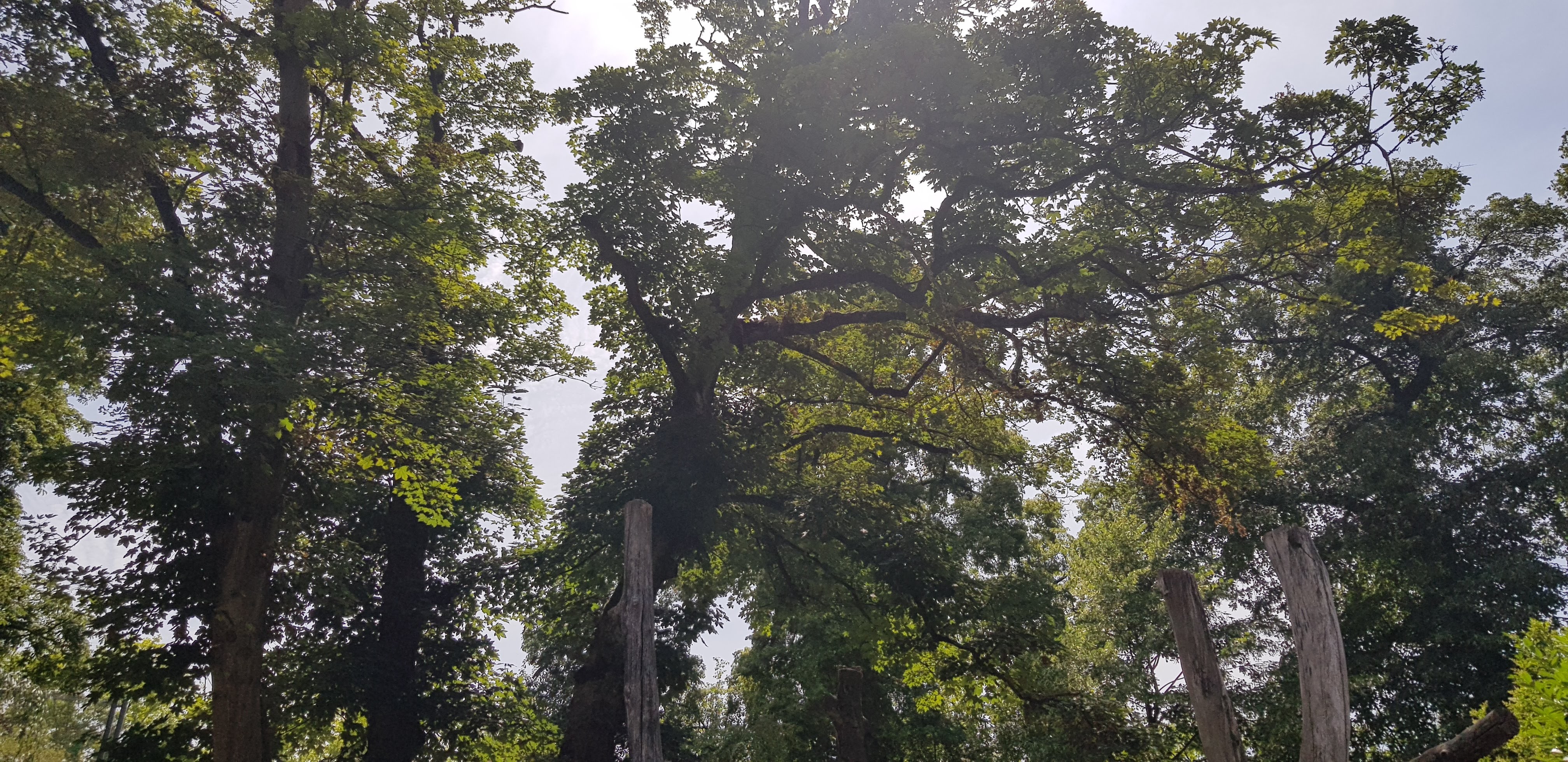 Photo n° 1 de l'avis de Nuk3d.t fait le 13/10/2019 à 18:58