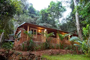 Nirvana Hill Resort image