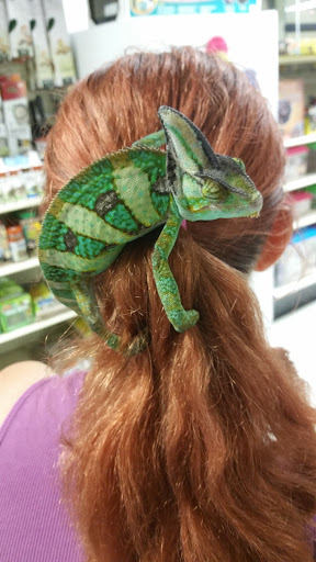 Pet Store «Pet Malls», reviews and photos, 11691 Boyette Rd, Riverview, FL 33569, USA