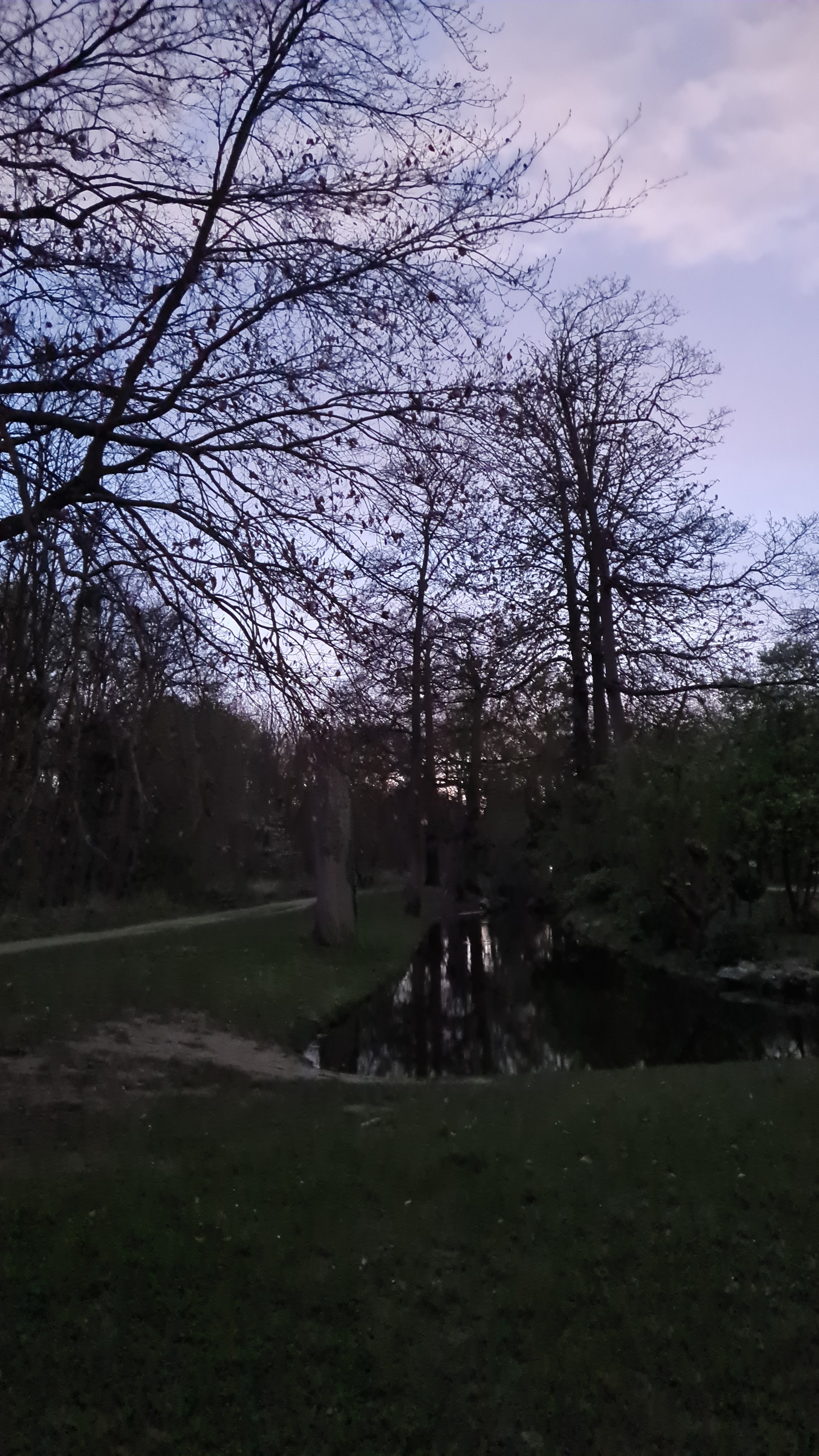 Photo n° 2 de l'avis de Laure. fait le 28/03/2024 à 10:13