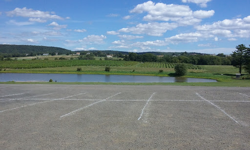 Winery «Gouveia Vineyards», reviews and photos, 1339 Whirlwind Hill Rd, Wallingford, CT 06492, USA