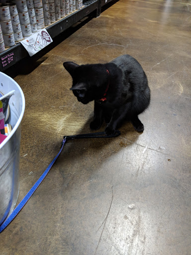 Pet Supply Store «Northern California Pet Supply and Grooming», reviews and photos, 1580 Nursery Way, McKinleyville, CA 95519, USA