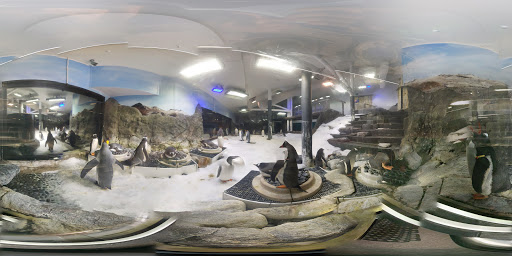 SEA LIFE Sydney Aquarium