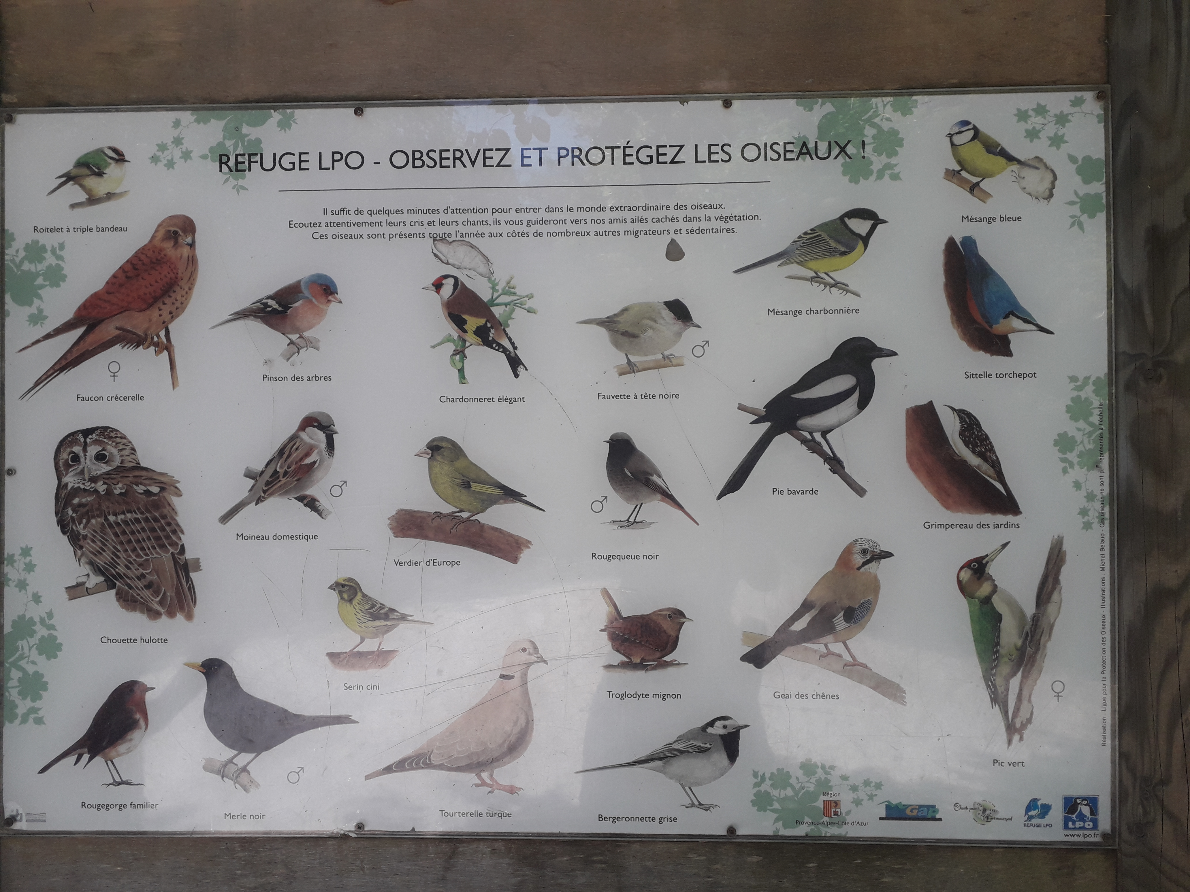 Photo n° 2 de l'avis de relax.� fait le 04/08/2019 à 14:52