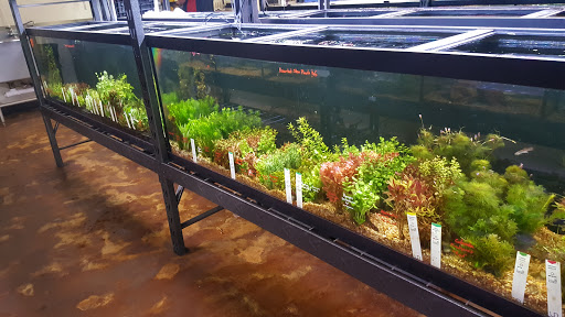 Fish Store «Aquatek Tropical Fish», reviews and photos, 8023 Burnet Rd # 1, Austin, TX 78757, USA