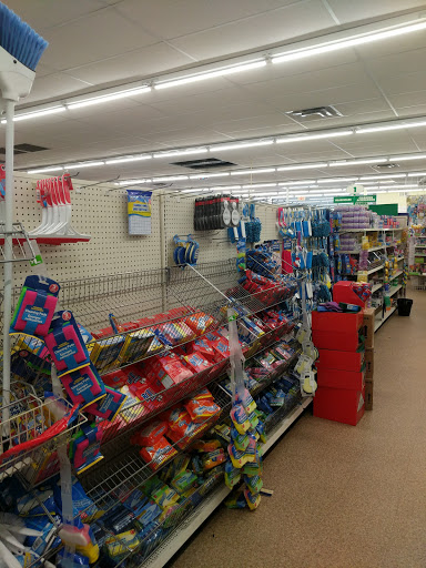 Dollar Store «Dollar Tree», reviews and photos, 8634 Baymeadows Rd, Jacksonville, FL 32256, USA