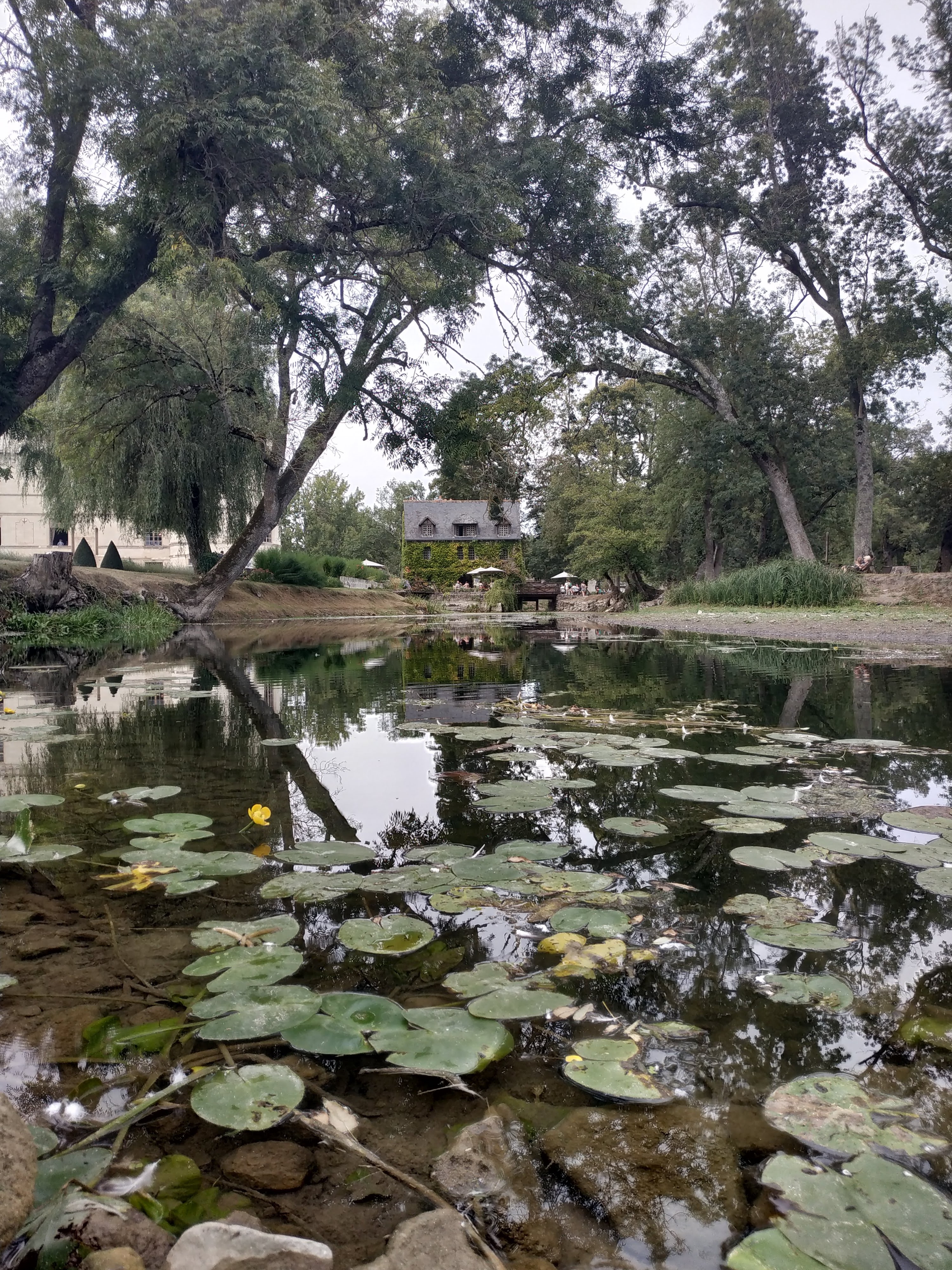 Photo n° 9 de l'avis de Yvan.U fait le 19/09/2018 à 21:18