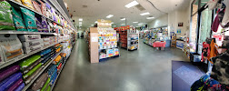 Pet Supply - Photo 6 - Car repair in Irvine, CA, Mission Viejo
