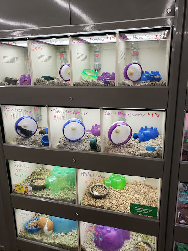 Pet Supply Store «Pet Supplies Plus», reviews and photos, 375 Paterson Ave #105, Wallington, NJ 07057, USA