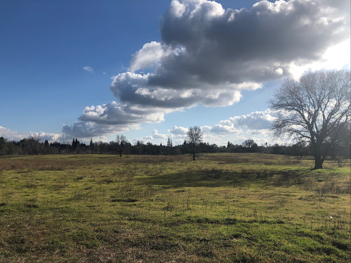 Park «Maidu Regional Park», reviews and photos, 1550 Maidu Dr, Roseville, CA 95661, USA