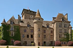 Château de Pesteils image