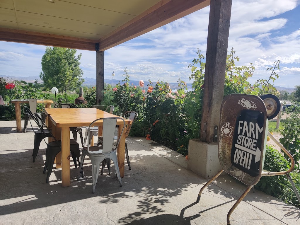 Peaceful Belly 83607